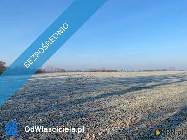 Sowno, ul. , Działki  na sprzedaż, 