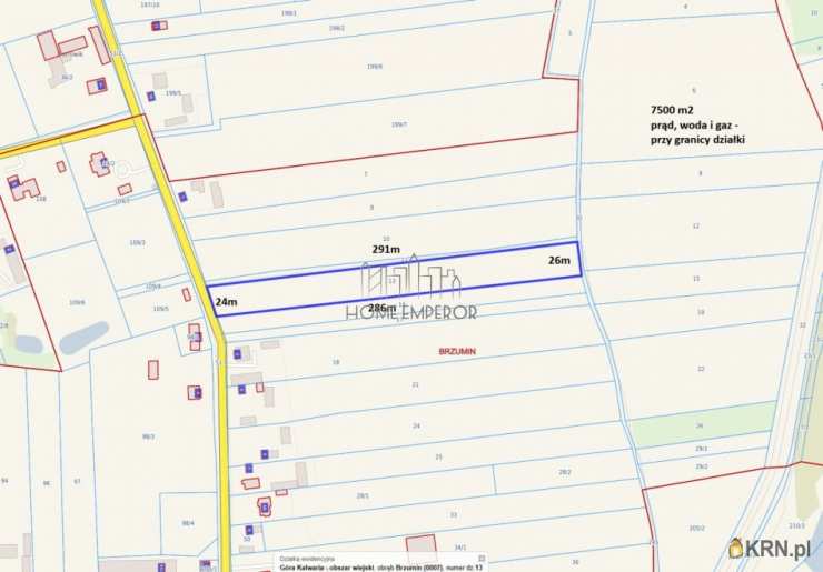 Działki  na sprzedaż, Brzumin, ul. , 