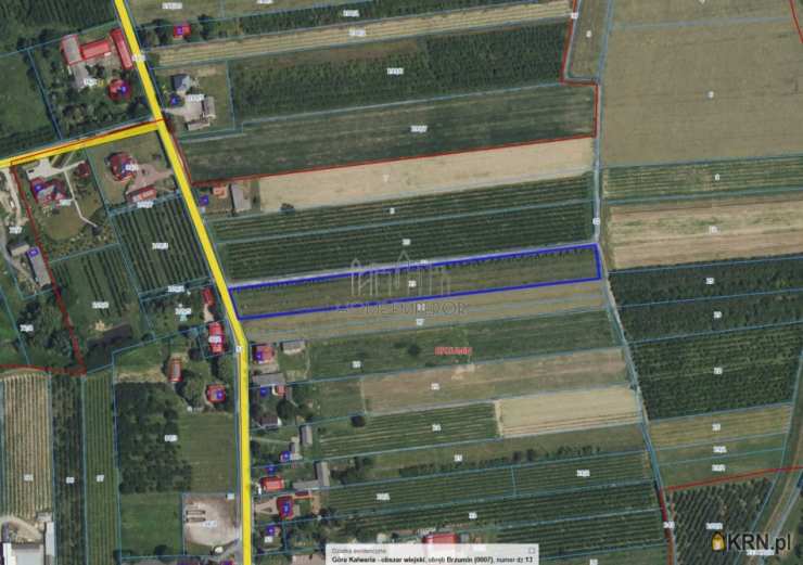 Brzumin, ul. , Działki  na sprzedaż, 
