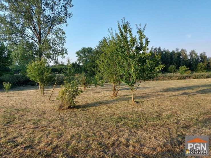 Pomorska Giełda Nieruchomości, Działki  na sprzedaż, Chrząszczewo, ul. 
