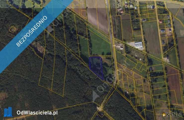 Działki  na sprzedaż, , Wielka Nieszawka, ul. 