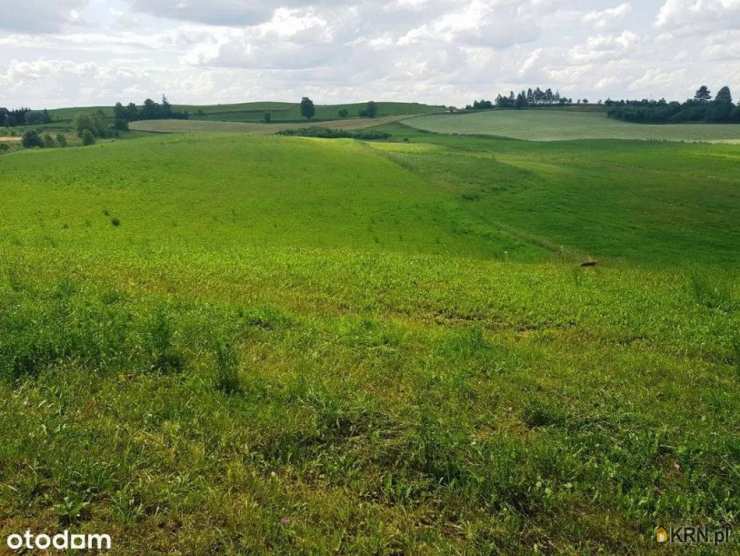 Działki  na sprzedaż, , Daniłowce, ul. 