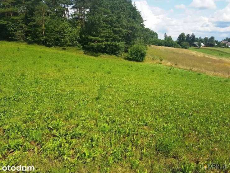 Daniłowce, ul. , , Działki  na sprzedaż