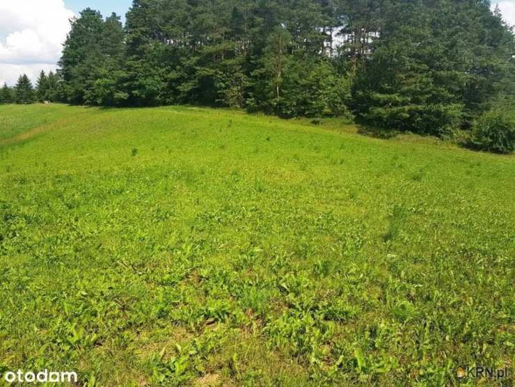 , Daniłowce, ul. , Działki  na sprzedaż