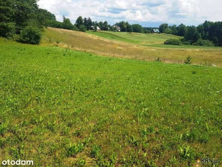 , Działki  na sprzedaż, Daniłowce, ul. 