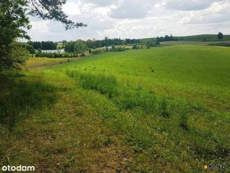 Działki  na sprzedaż, Daniłowce, ul. , 