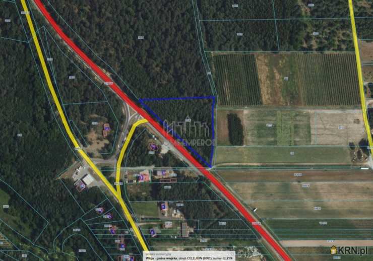 Celejów, ul. , Działki  na sprzedaż, 