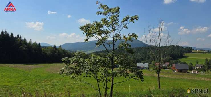 Działki  na sprzedaż, , Kasina Wielka, ul. 