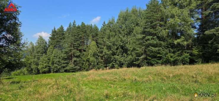 Kasina Wielka, ul. , Działki  na sprzedaż, 