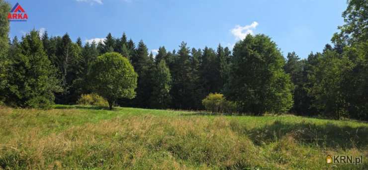 Kasina Wielka, ul. , , Działki  na sprzedaż