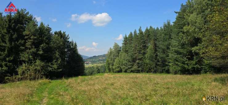 , Kasina Wielka, ul. , Działki  na sprzedaż