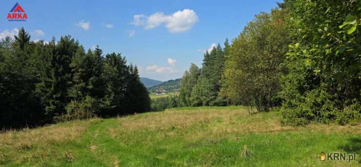 Biuro Nieruchomości ARKA, Działki  na sprzedaż, Kasina Wielka, ul. 