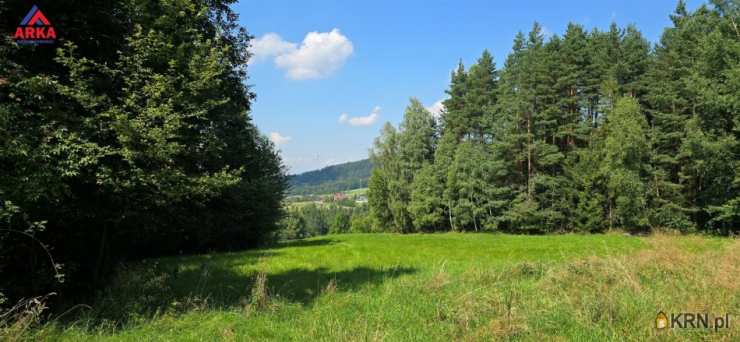 Kasina Wielka, ul. , , Działki  na sprzedaż