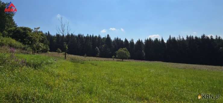Biuro Nieruchomości ARKA, Działki  na sprzedaż, Kasina Wielka, ul. 