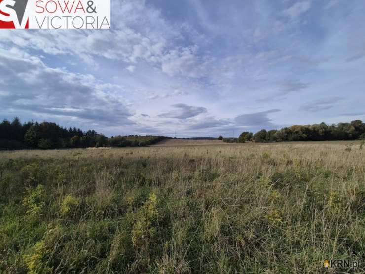 Działki  na sprzedaż, Kłaczyna, ul. , 