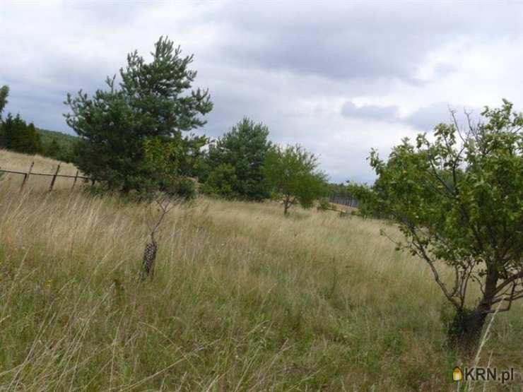 Liniewo, ul. , Działki  na sprzedaż, 