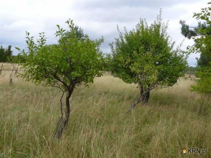 , Liniewo, ul. , Działki  na sprzedaż