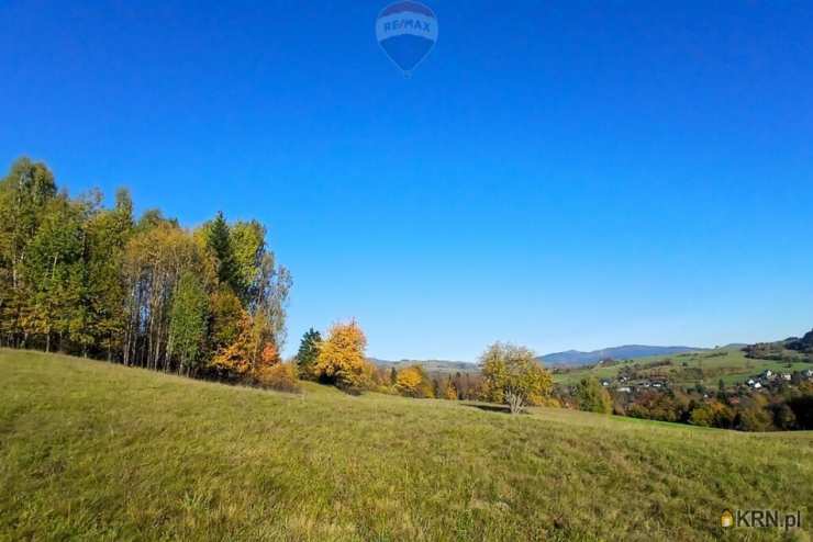 , Działki  na sprzedaż, Poręba Wielka, ul. 