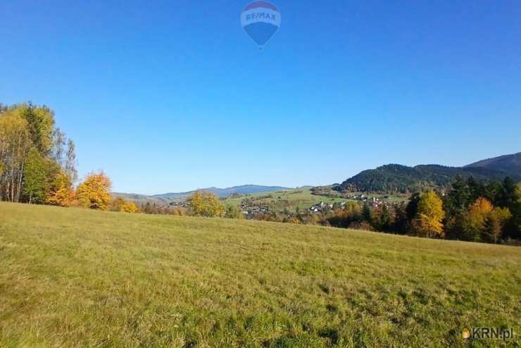 RE/MAX Polska, Działki  na sprzedaż, Poręba Wielka, ul. 