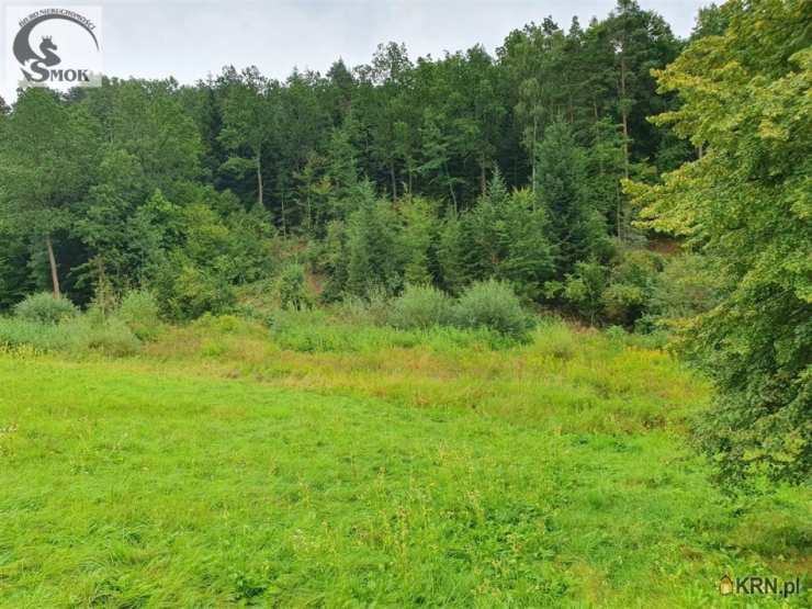 Działki  na sprzedaż, , Rudnik, ul. 