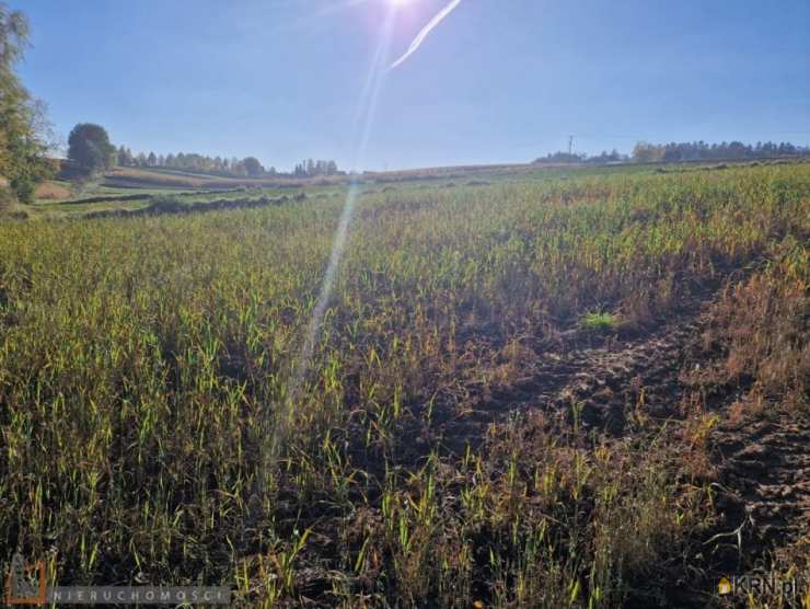 , Wilków, ul. , Działki  na sprzedaż