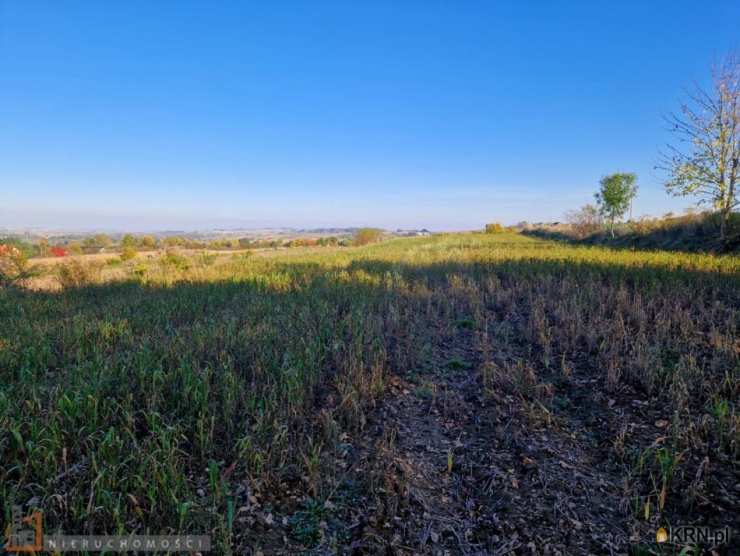 Działki  na sprzedaż, Wilków, ul. , 