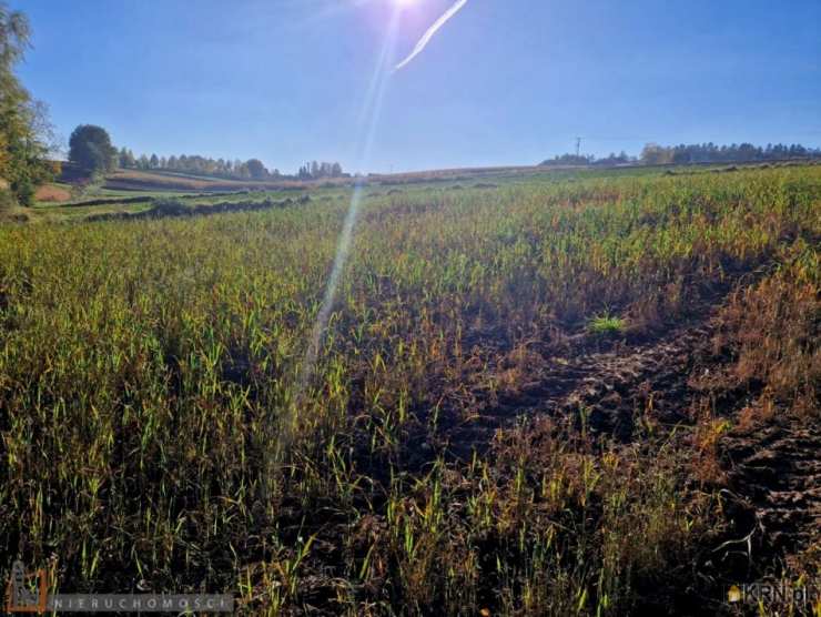 , Wilków, ul. , Działki  na sprzedaż