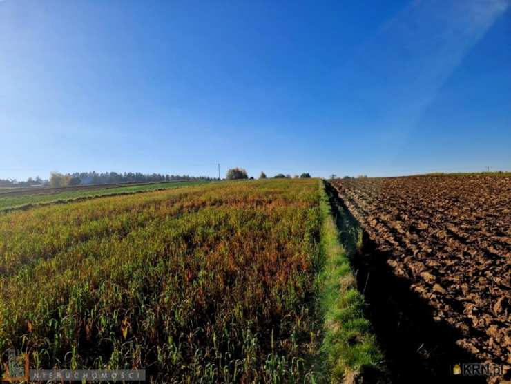 Wilków, ul. , , Działki  na sprzedaż