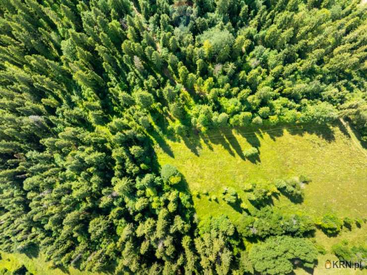 Działki  na sprzedaż, Bukowina Tatrzańska, ul. , 