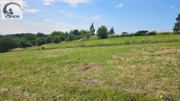 Tomaszkowice, ul. , Działki  na sprzedaż, 