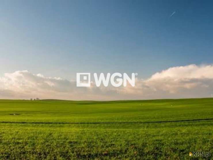 Działki  na sprzedaż, Inowrocław, Mątwy, ul. , 