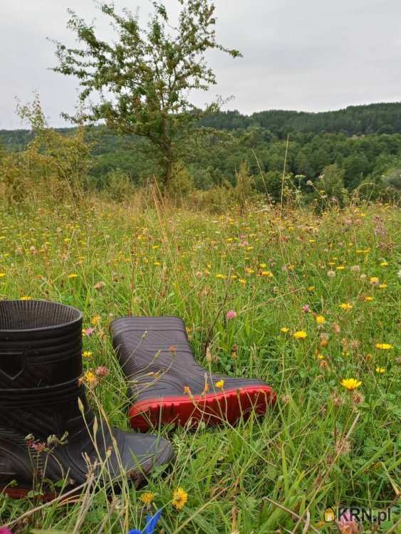 Działki  na sprzedaż, , Fiałki, ul. 