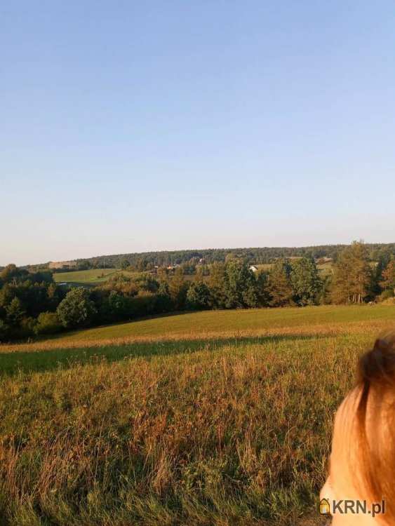 Fiałki, ul. , , Działki  na sprzedaż