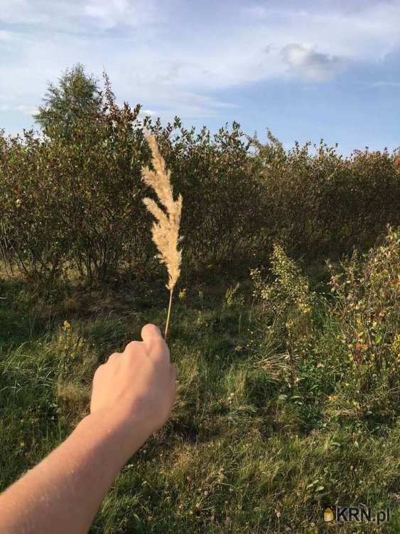 , Działki  na sprzedaż, Fiałki, ul. 