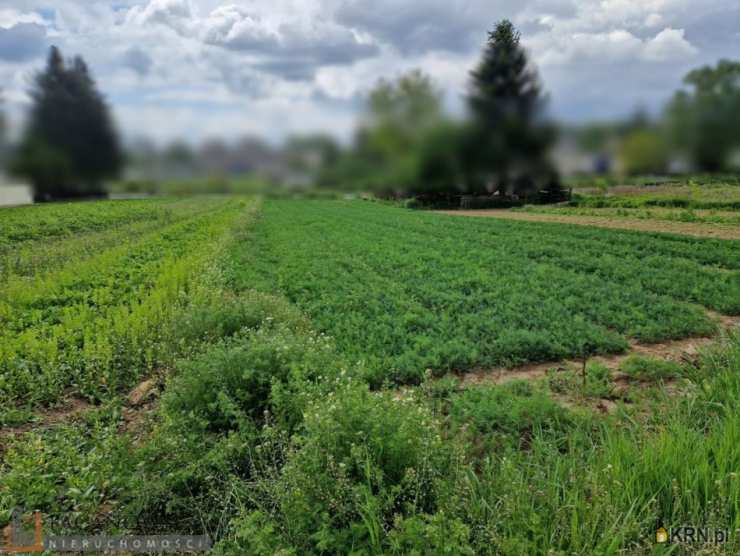 Działki  na sprzedaż, , Dziekanowice, ul. 