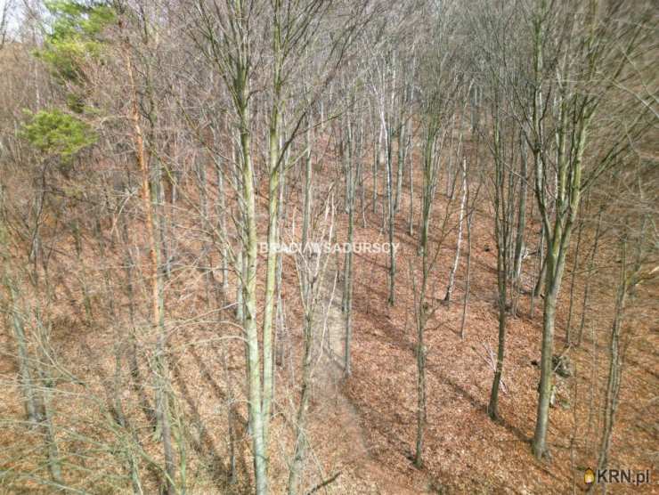 Bracia Sadurscy Oddział BS1 Kapelanka, Działki  na sprzedaż, Jerzmanowice, ul. 