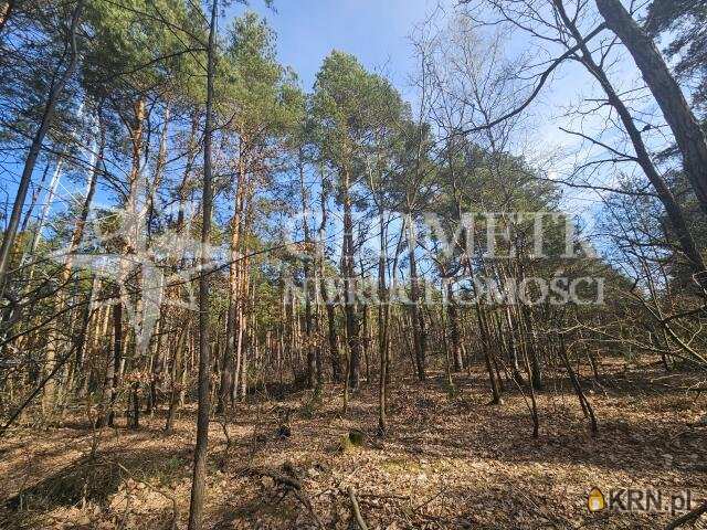 Sulejówek, ul. Mariańska, Działki  na sprzedaż, 