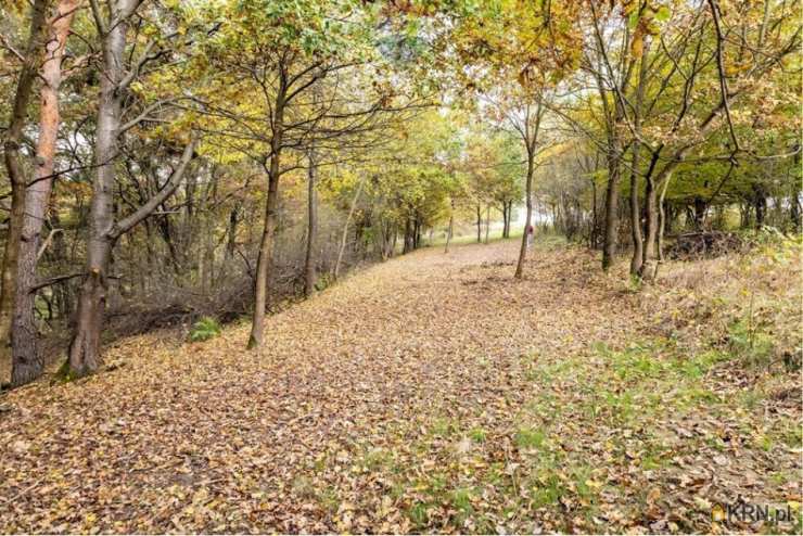 Żywiec, Oczków, ul. , Działki  na sprzedaż, 