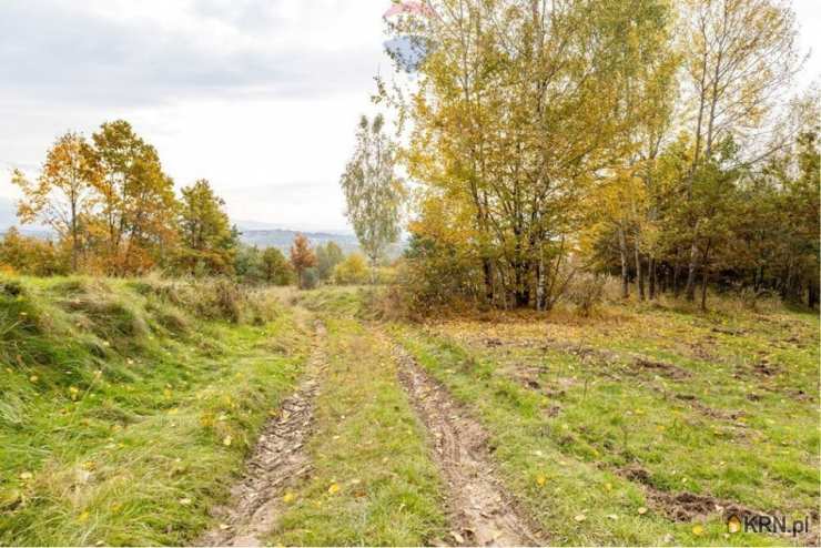 Żywiec, Oczków, ul. , , Działki  na sprzedaż