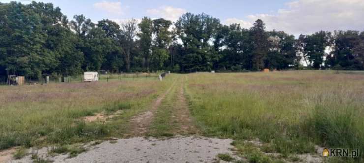 Działki  na sprzedaż, Chycina, ul. , 