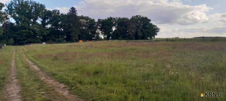 Działki  na sprzedaż, , Chycina, ul. 