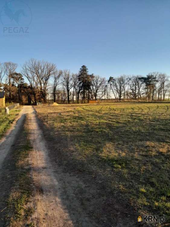 Działki  na sprzedaż, Chycina, ul. , 