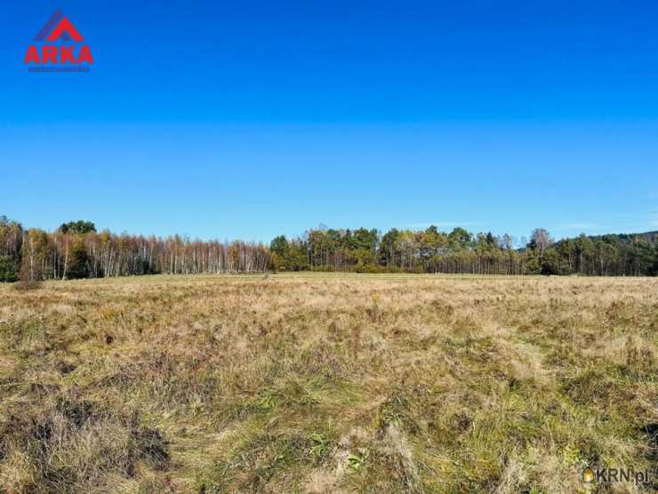 , Działki  na sprzedaż, Jordanów, ul. 