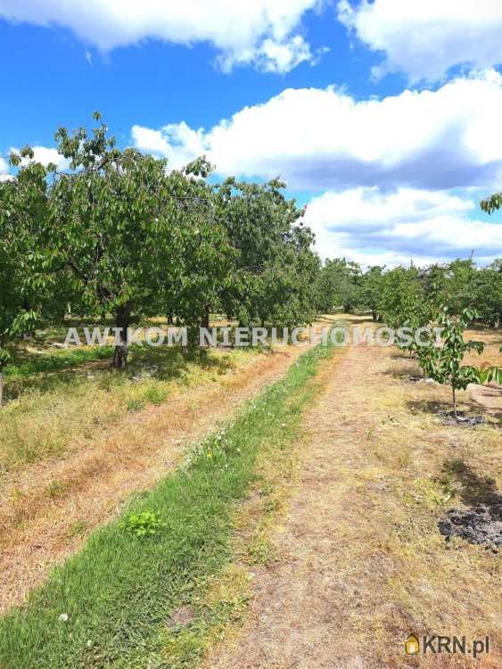 Działki  na sprzedaż, Kornelówka, ul. , 