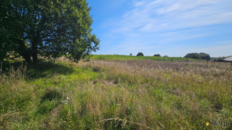 Szulc & Szulc Nieruchomośc, Działki  na sprzedaż, Elbląg, ul. 
