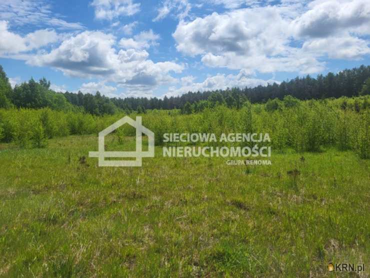 Sieciowa Agencja Nieruchomości Grupa Renoma, Działki  na sprzedaż, Miłowo, ul. 