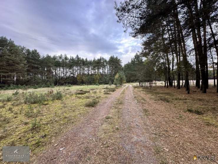 Działki  na sprzedaż, Zmyślona Ligocka, ul. , 