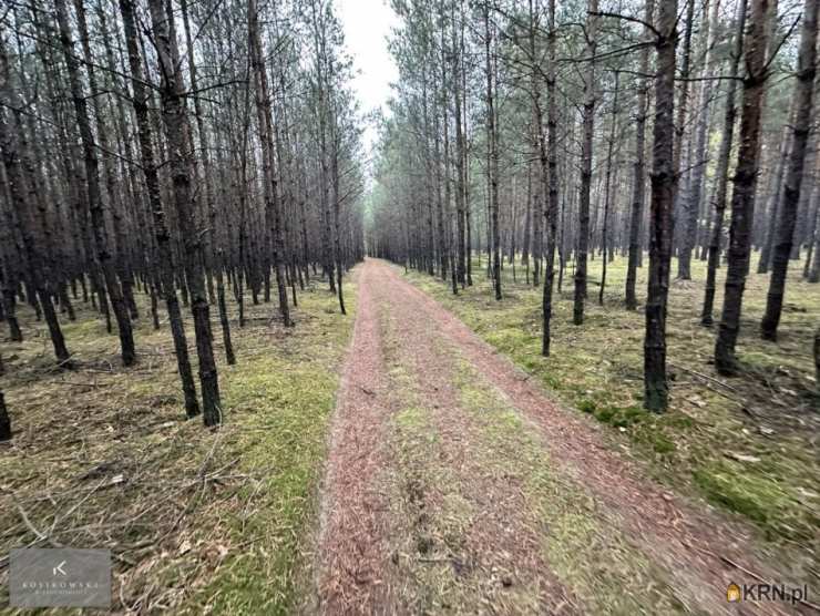 Kosikowski Nieruchomości, Działki  na sprzedaż, Zmyślona Ligocka, ul. 