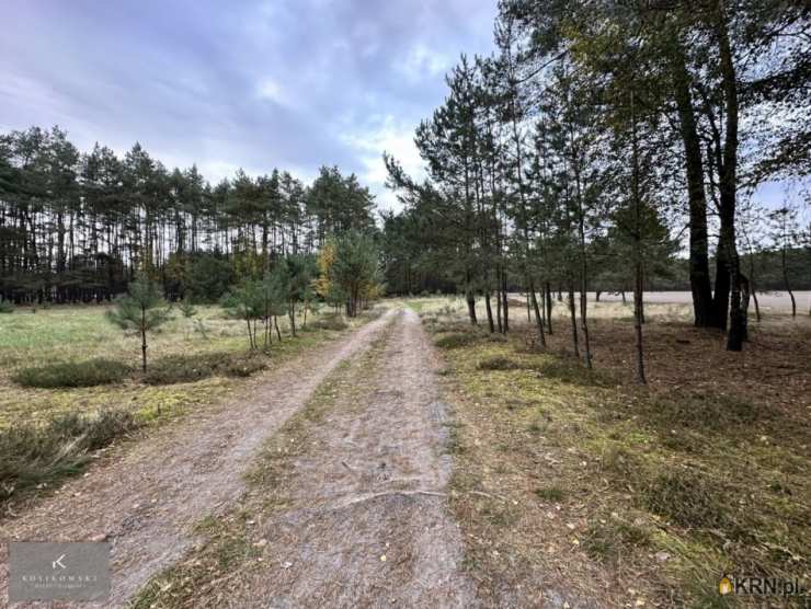 Działki  na sprzedaż, , Zmyślona Ligocka, ul. 