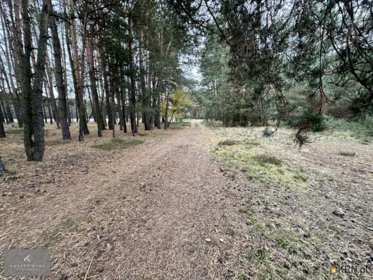 , Działki  na sprzedaż, Zmyślona Ligocka, ul. 